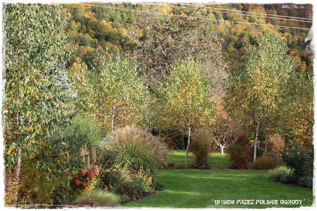Aranżacja dużego ogrodu 57