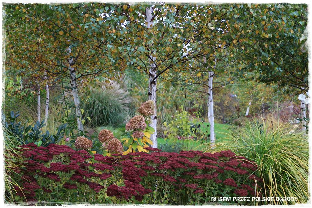 Aranżacja dużego ogrodu 58