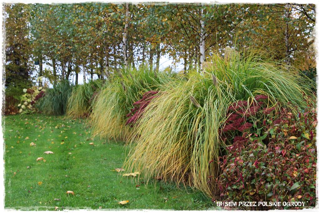 Aranżacja dużego ogrodu 59