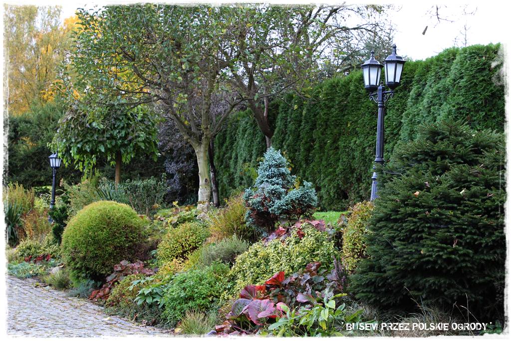 Aranżacja dużego ogrodu 61