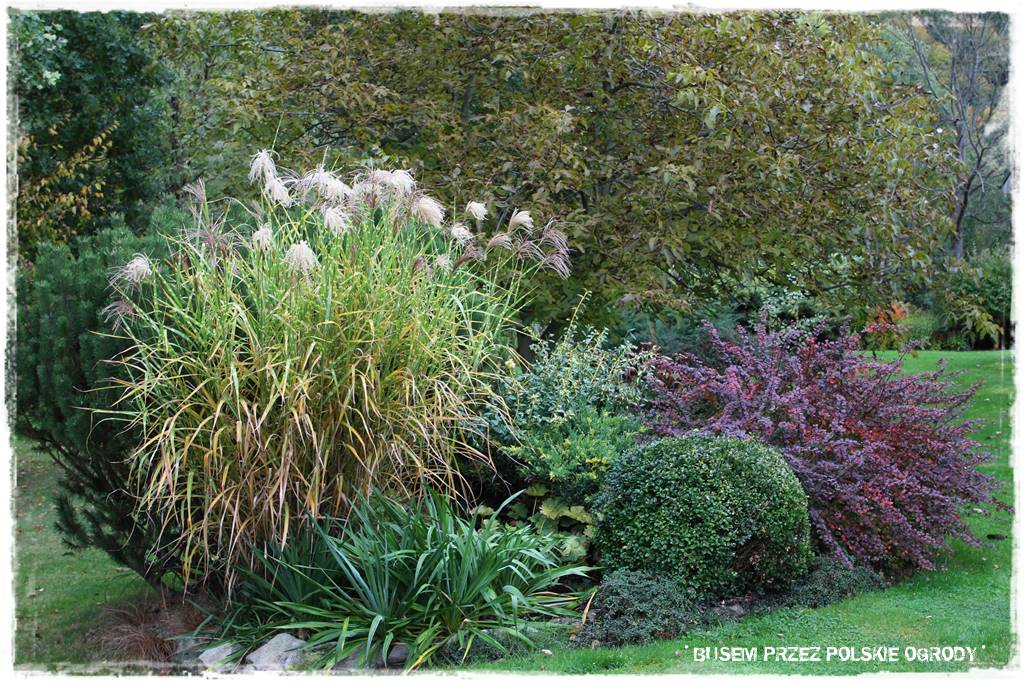 Aranżacja dużego ogrodu 62