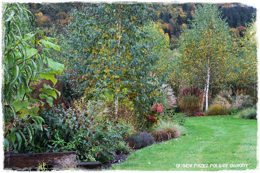 Aranżacja dużego ogrodu 63