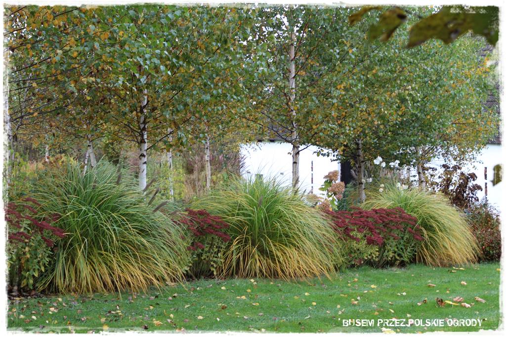 Aranżacja dużego ogrodu 64