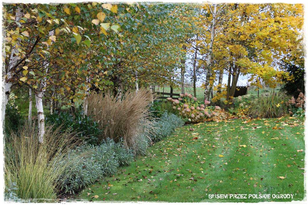Aranżacja dużego ogrodu 65