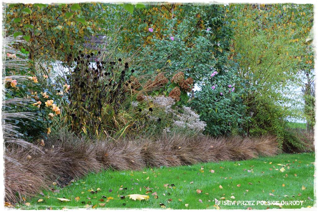 Aranżacja dużego ogrodu 66