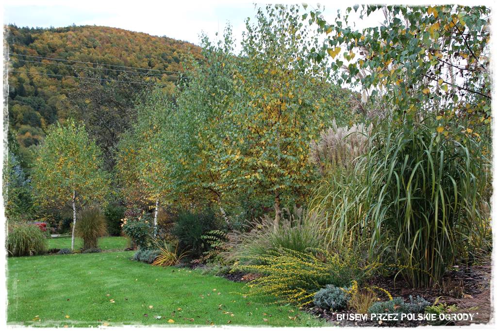 Aranżacja dużego ogrodu 67