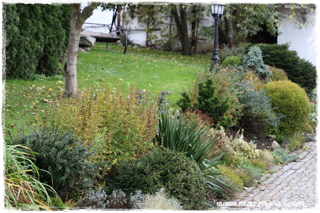 Aranżacja dużego ogrodu 69