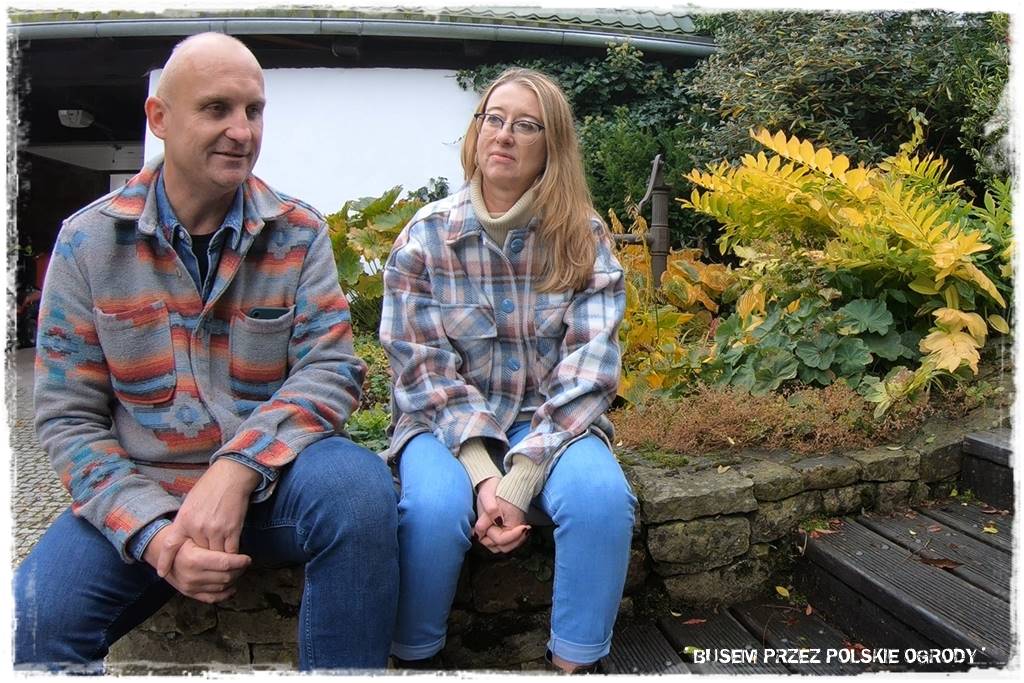 Aranżacja dużego ogrodu 7