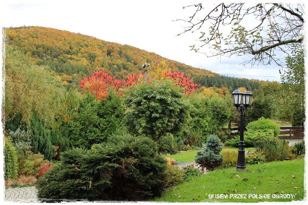 Aranżacja dużego ogrodu 72
