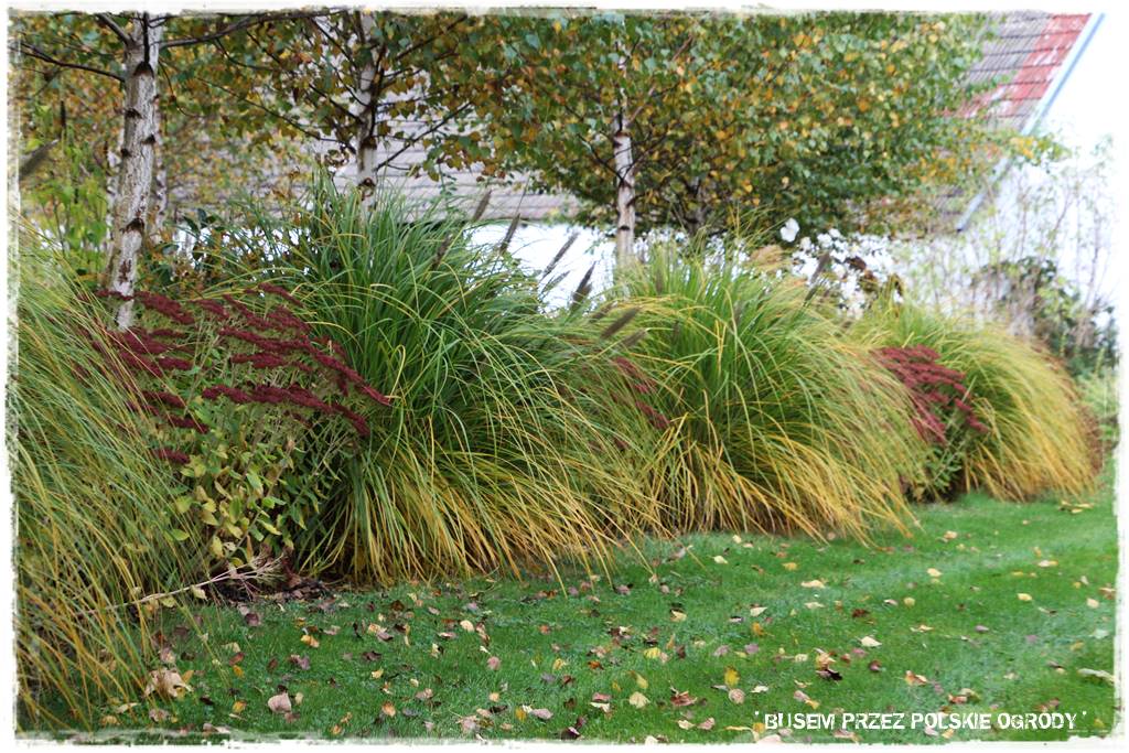 Aranżacja dużego ogrodu 74
