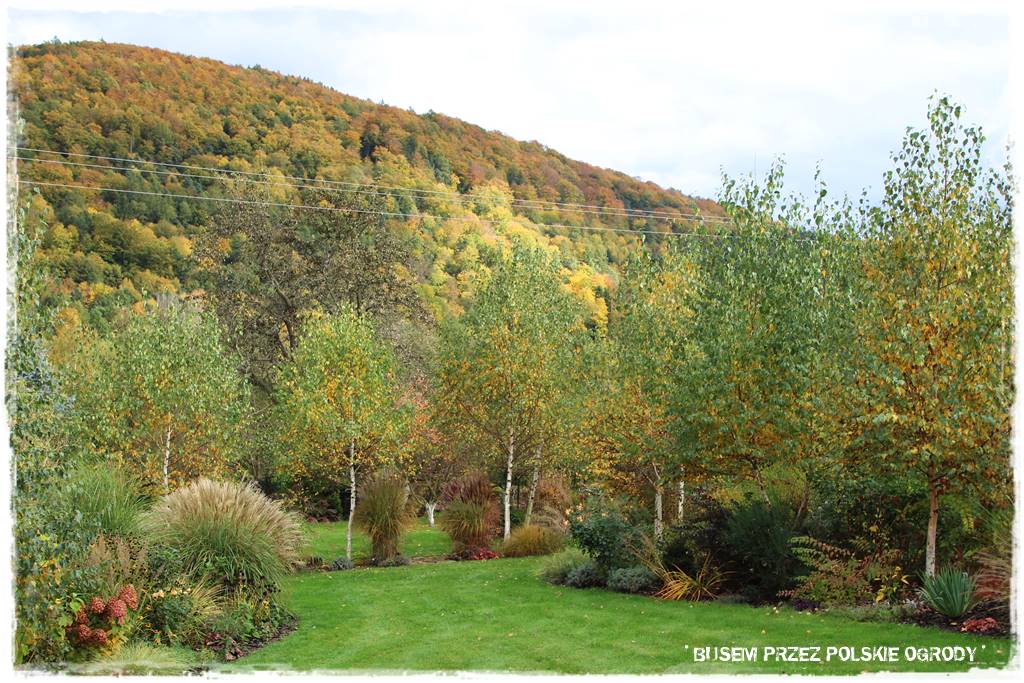 Aranżacja dużego ogrodu 75