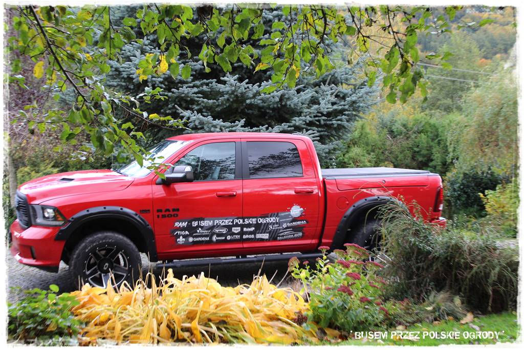 Aranżacja dużego ogrodu 76