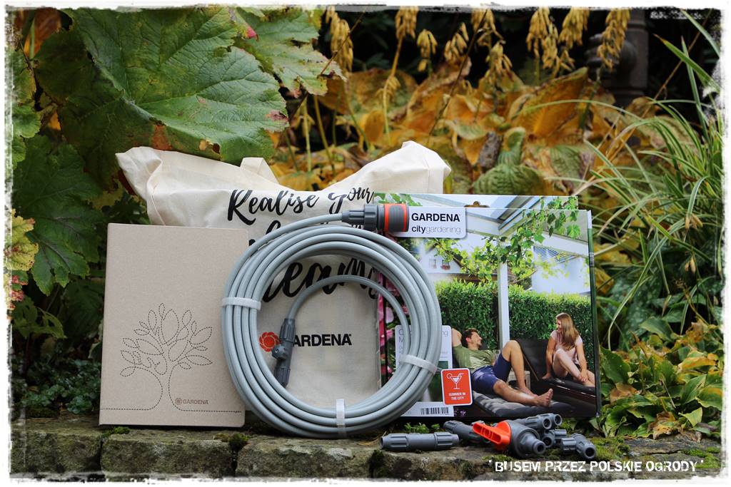 Aranżacja dużego ogrodu 77