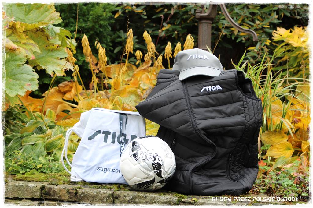 Aranżacja dużego ogrodu 78