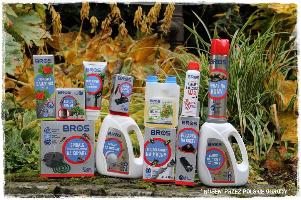 Aranżacja dużego ogrodu 79