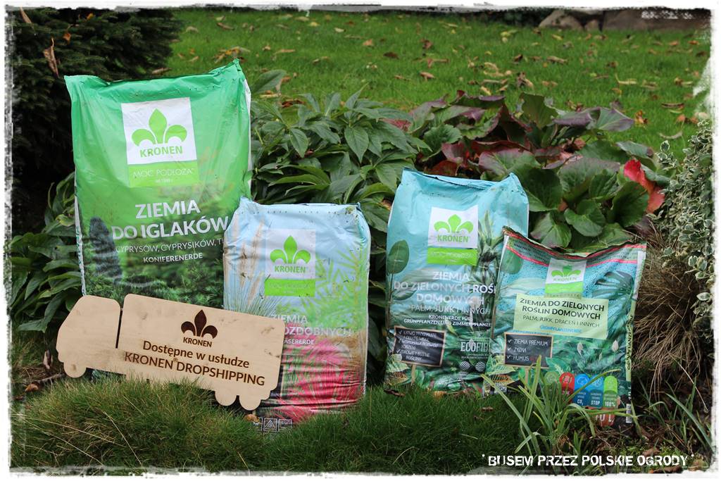 Aranżacja dużego ogrodu 82