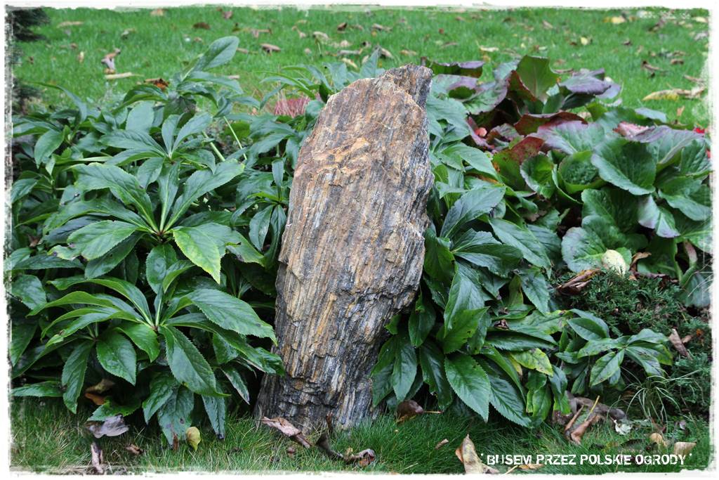 Aranżacja dużego ogrodu 84