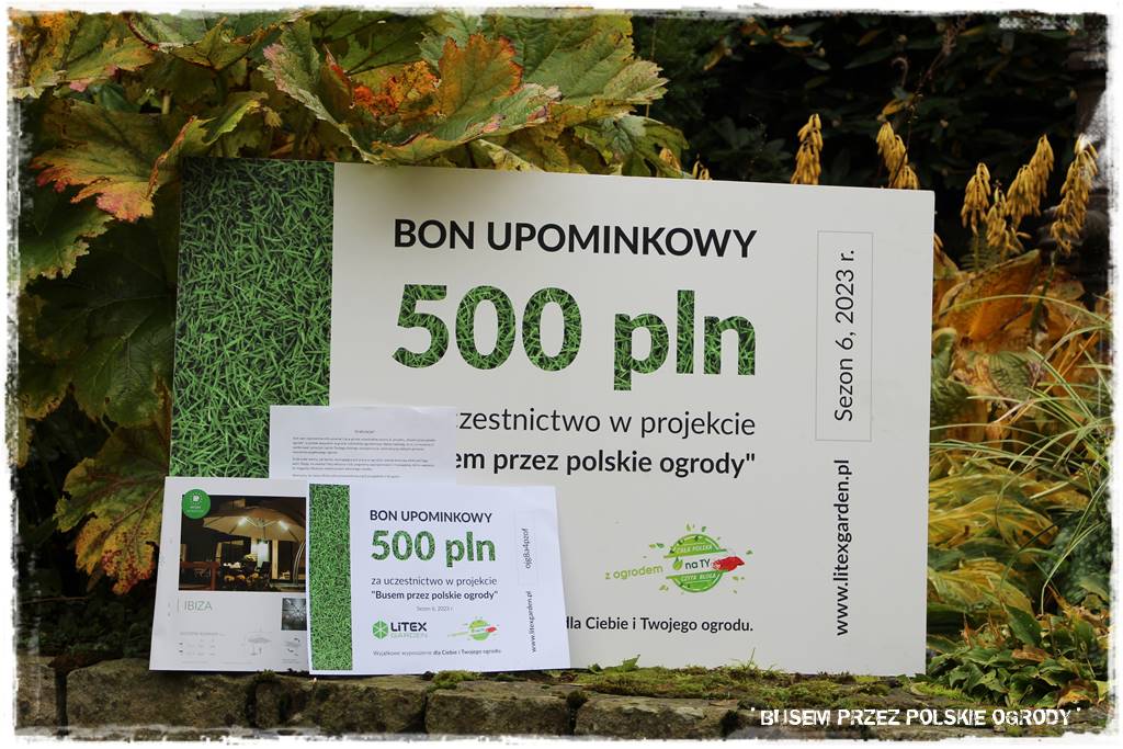 Aranżacja dużego ogrodu 85