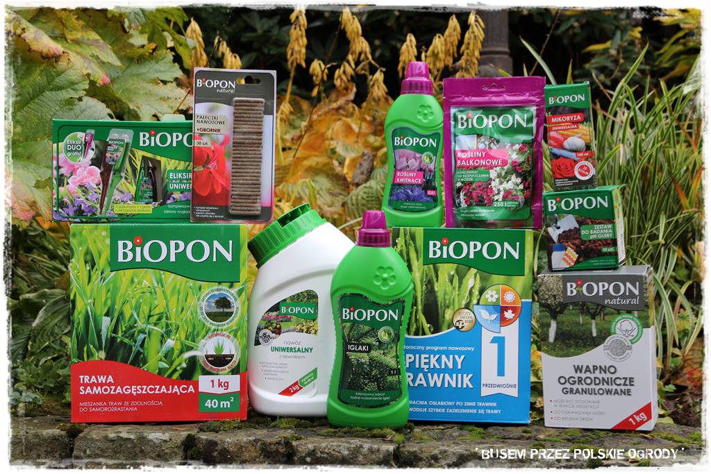 Aranżacja dużego ogrodu 87