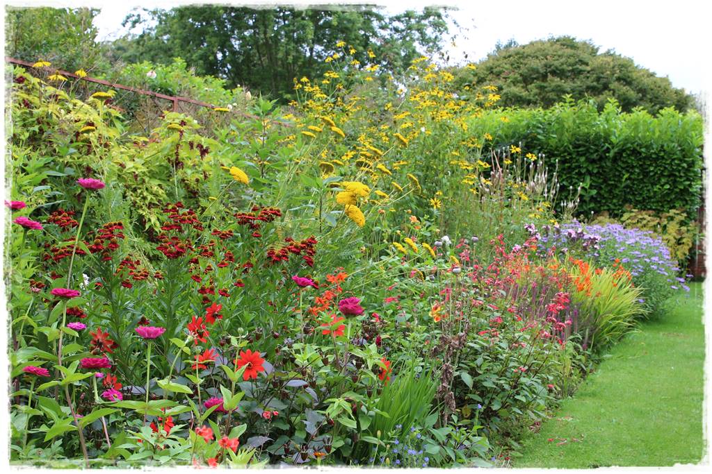 Byliny z siewu 10 Byliny z siewu 10