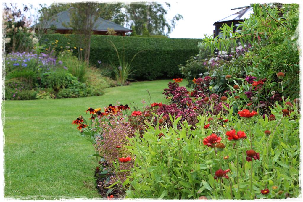 Byliny z siewu 100 Byliny z siewu 100