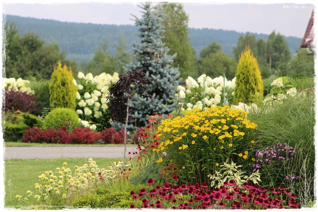 Byliny z siewu 10b Byliny z siewu 10b