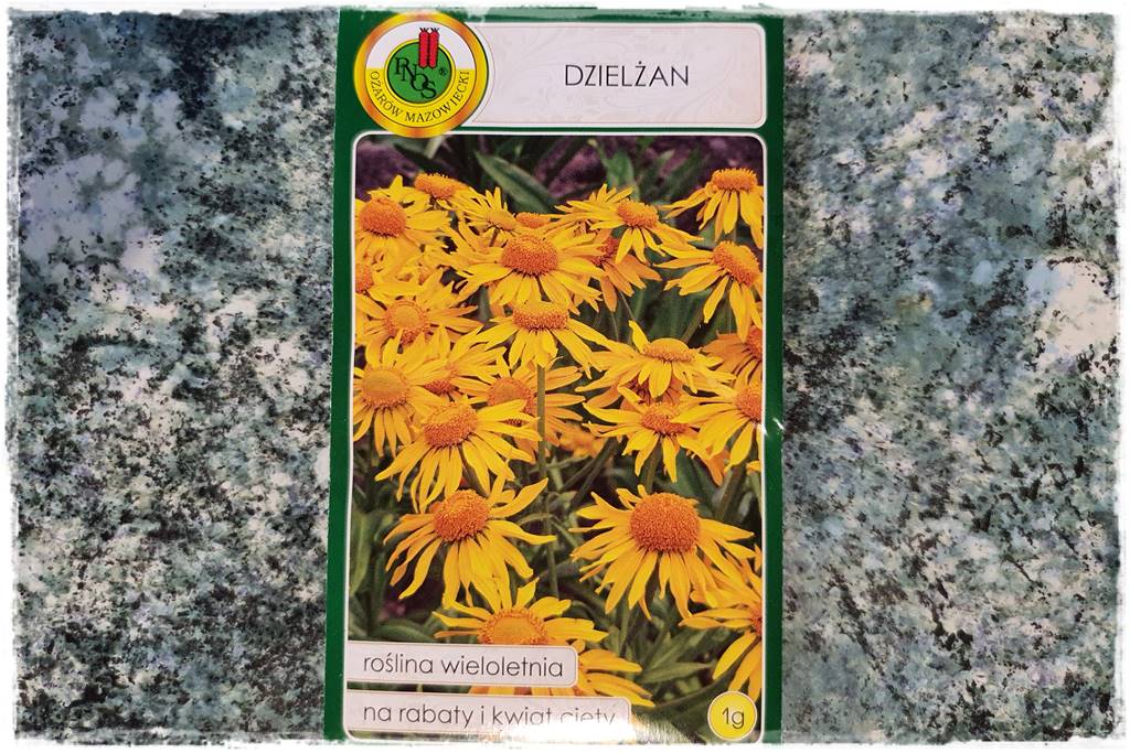 Byliny z siewu 10bb Byliny z siewu 10bb