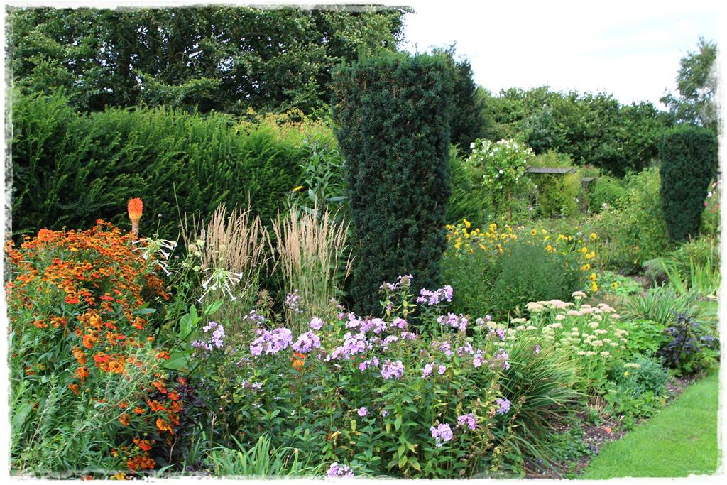 Byliny z siewu 10c Byliny z siewu 10c