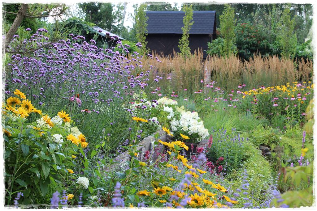 Byliny z siewu 110b Byliny z siewu 110b