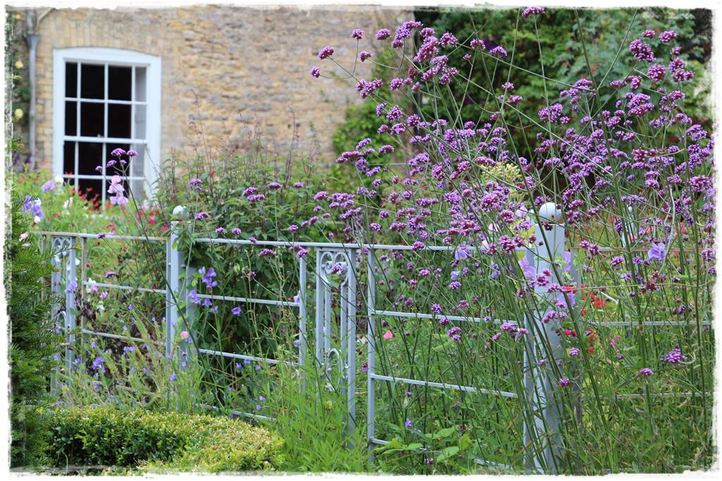 Byliny z siewu 110c Byliny z siewu 110c