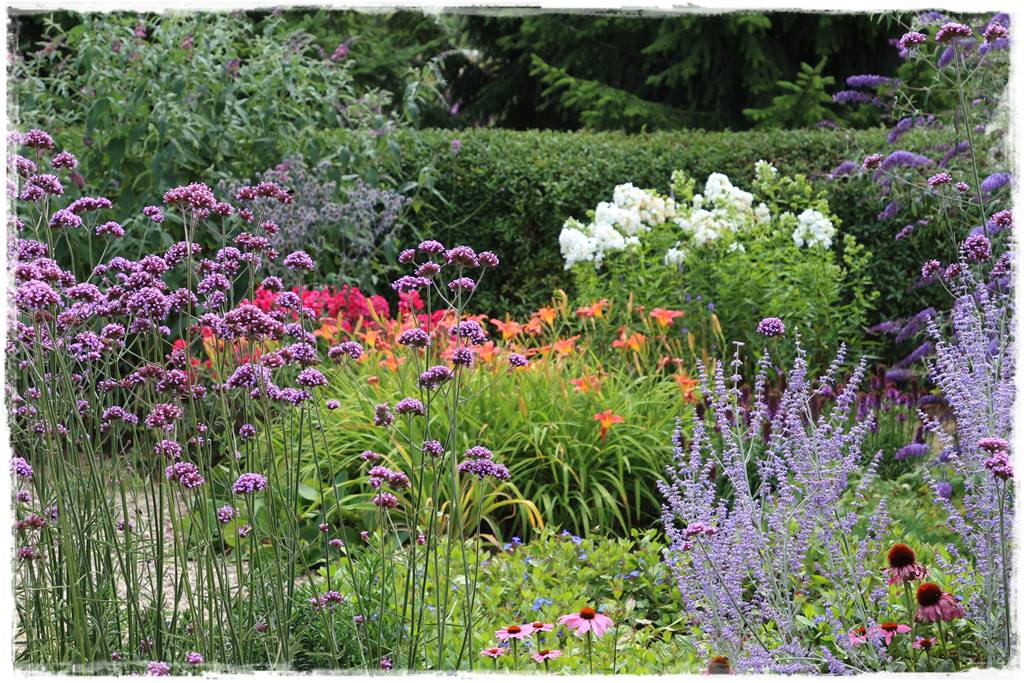 Byliny z siewu 110e Byliny z siewu 110e