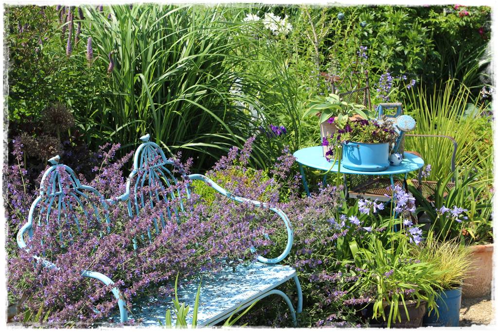 Byliny z siewu 120 Byliny z siewu 120