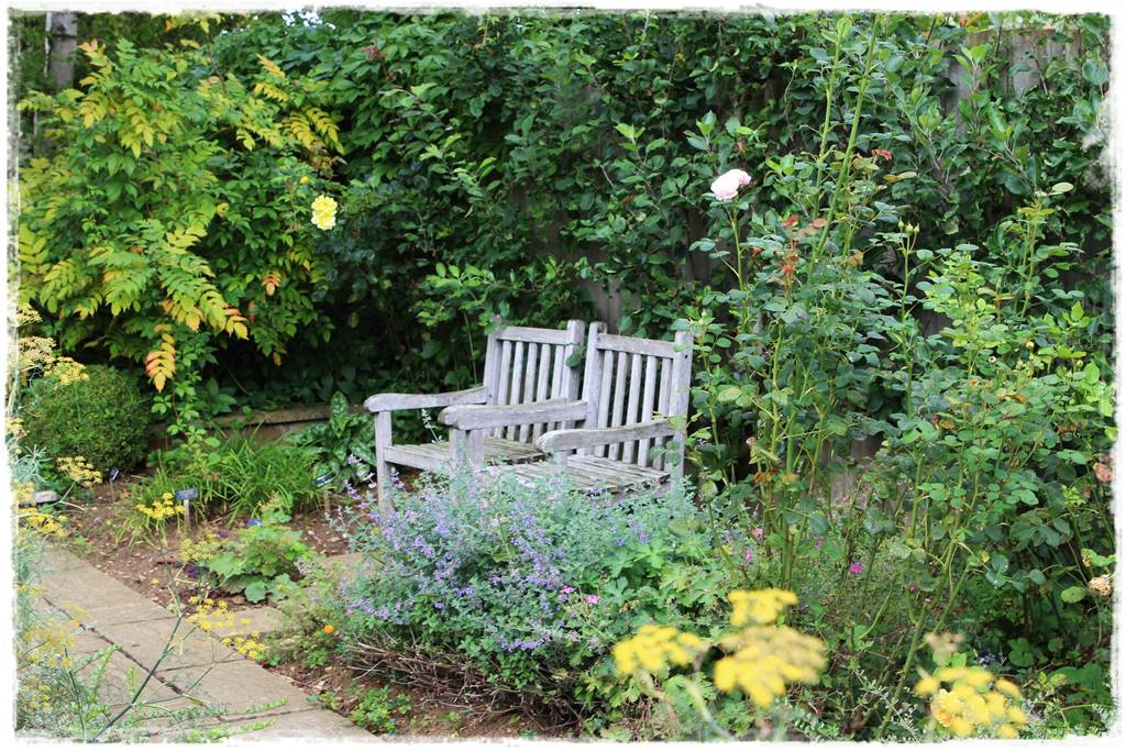 Byliny z siewu 120b Byliny z siewu 120b