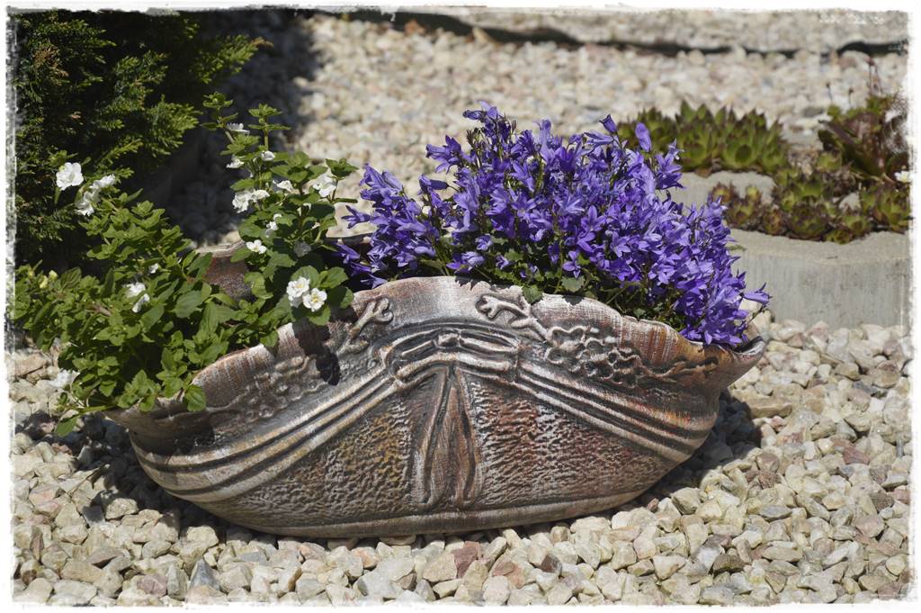 Byliny z siewu 20 Byliny z siewu 20