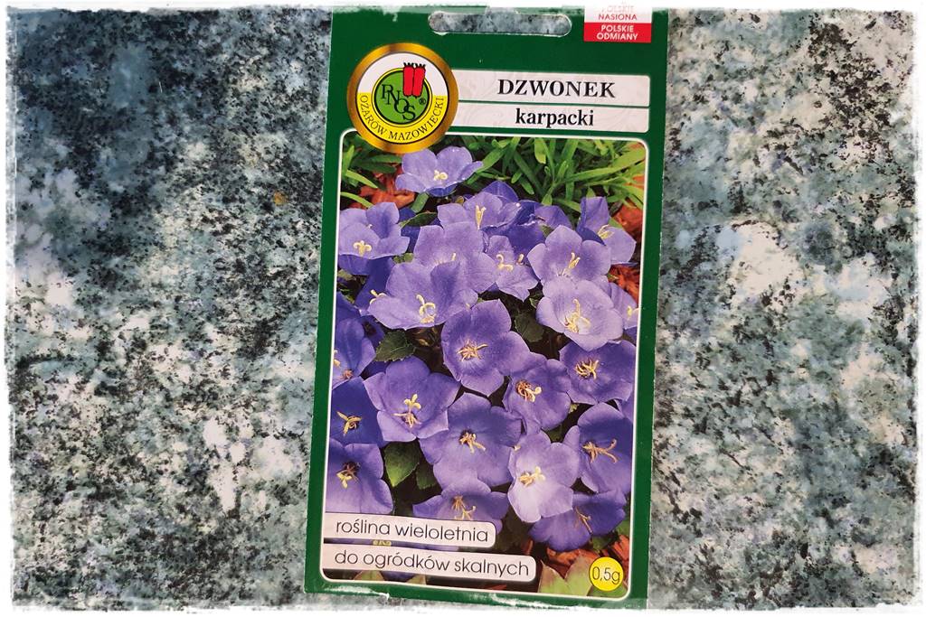 Byliny z siewu 20b Byliny z siewu 20b