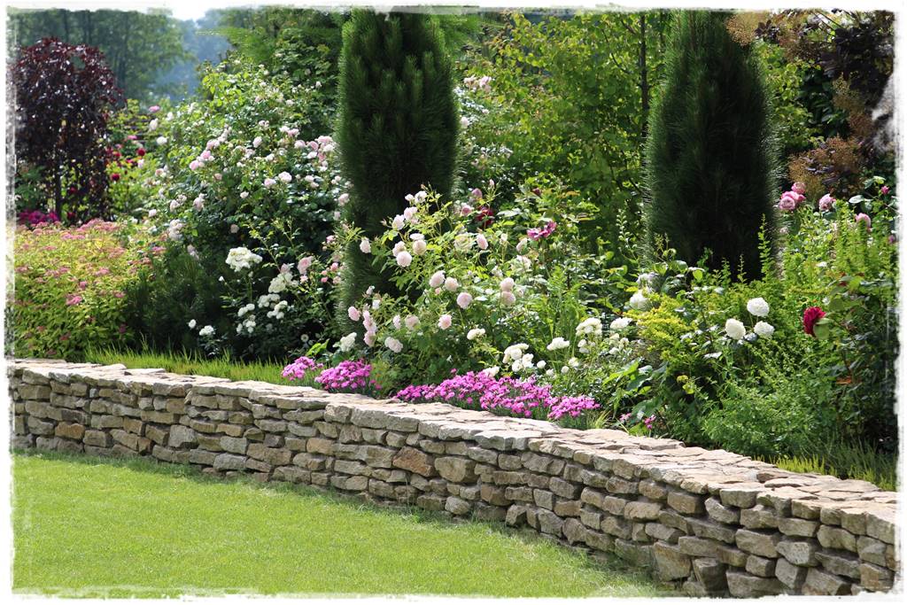 Byliny z siewu 30b Byliny z siewu 30b