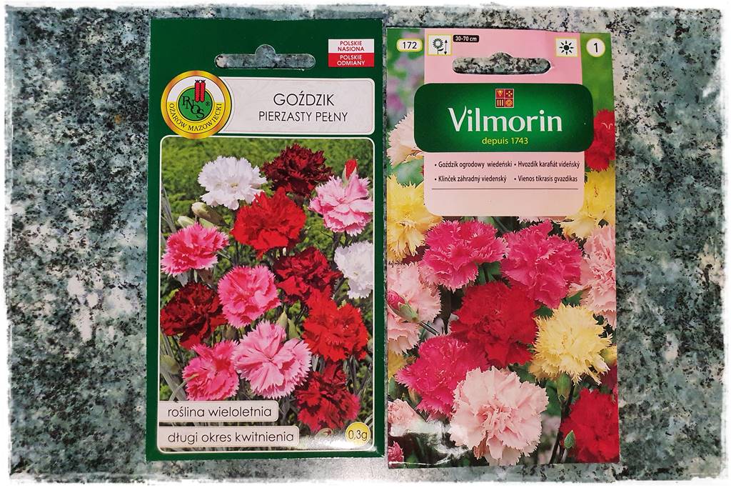 Byliny z siewu 30c Byliny z siewu 30c