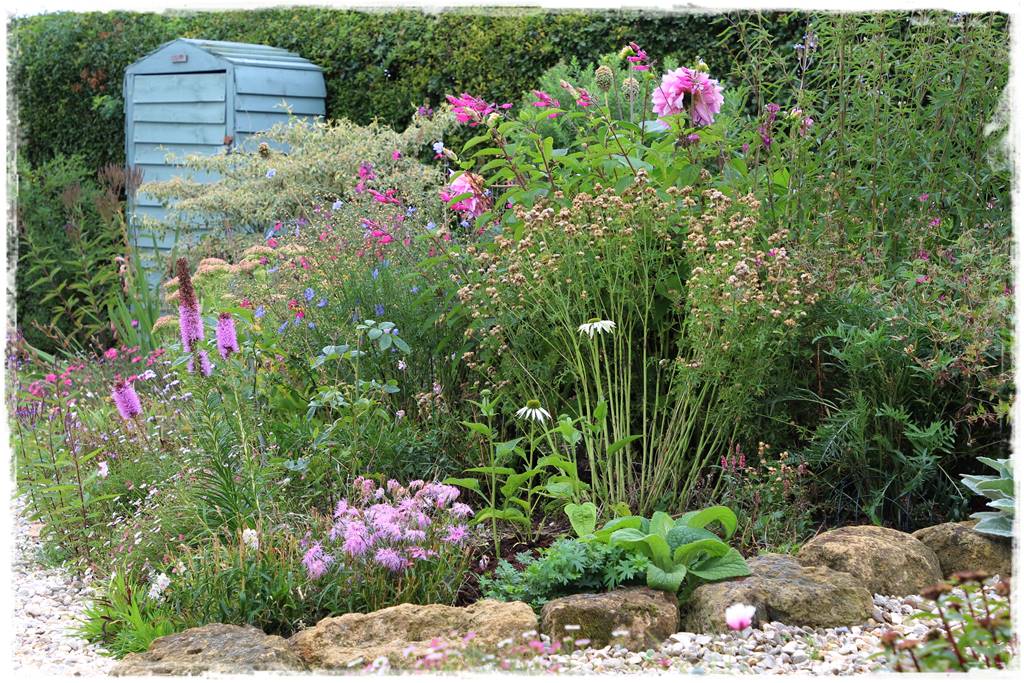 Byliny z siewu 30e Byliny z siewu 30e