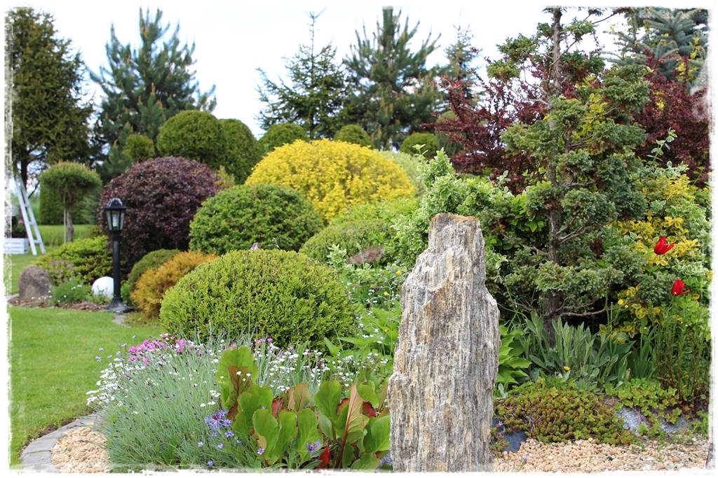 Byliny z siewu 30f Byliny z siewu 30f