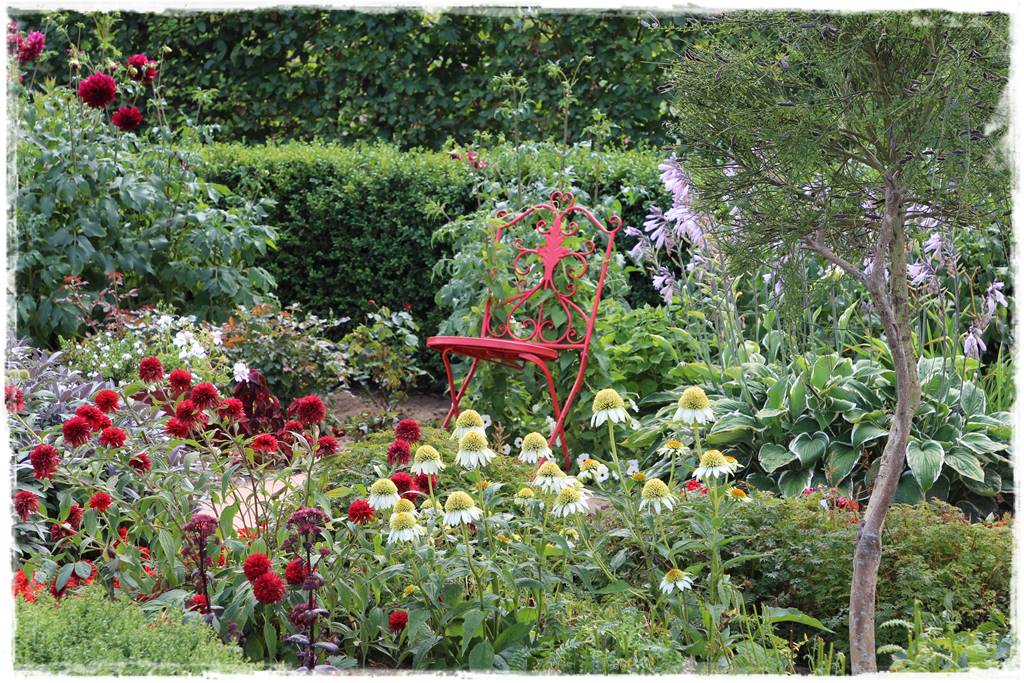 Byliny z siewu 40d Byliny z siewu 40d