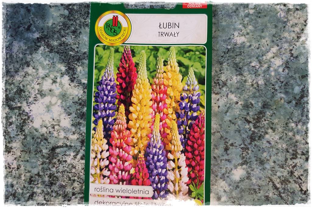 Byliny z siewu 50c Byliny z siewu 50c