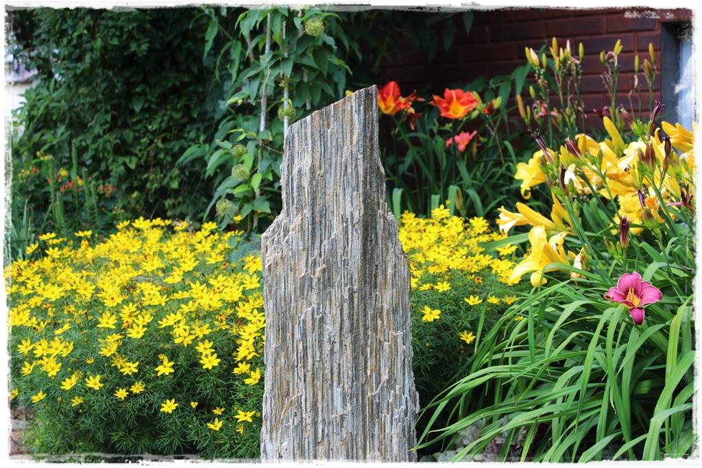 Byliny z siewu 60 Byliny z siewu 60