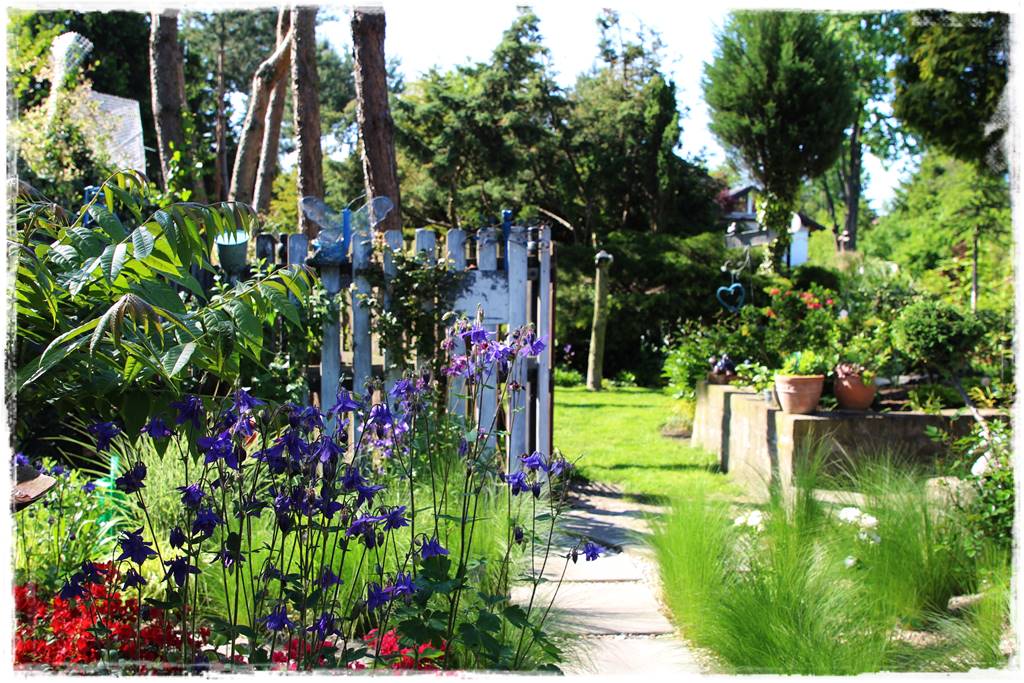 Byliny z siewu 70b Byliny z siewu 70b