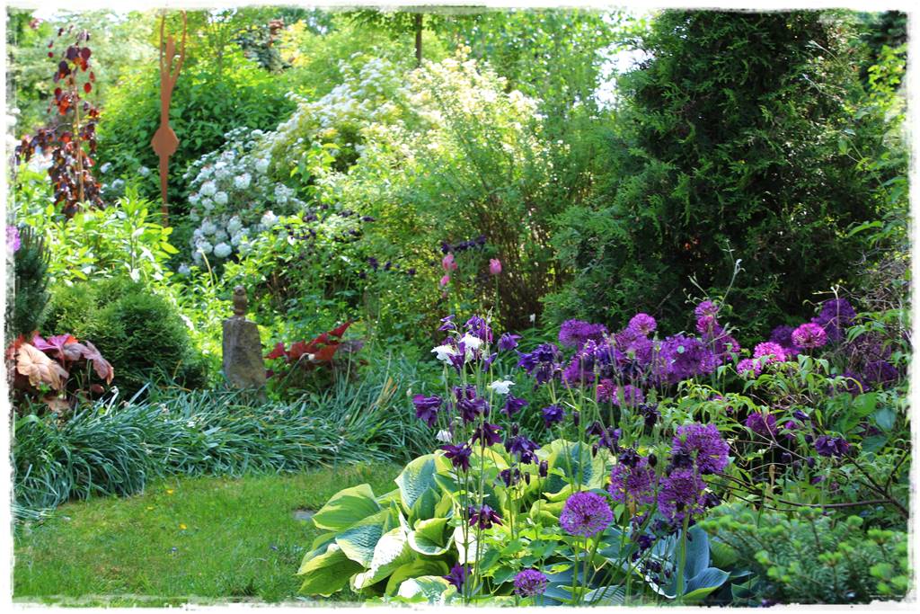 Byliny z siewu 70e Byliny z siewu 70e