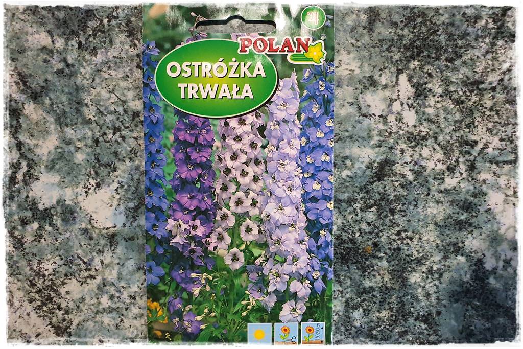 Byliny z siewu 80c Byliny z siewu 80c