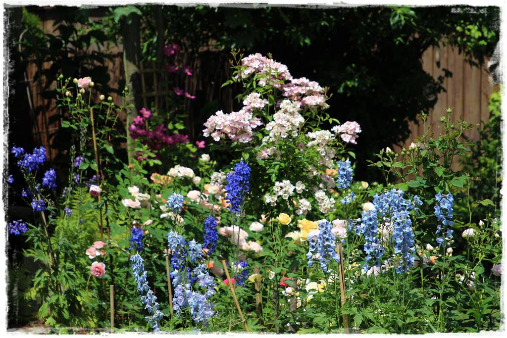 Byliny z siewu 80e Byliny z siewu 80e