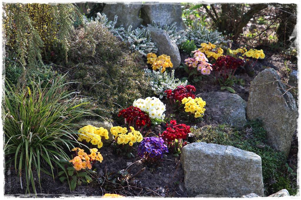 Byliny z siewu 90 Byliny z siewu 90