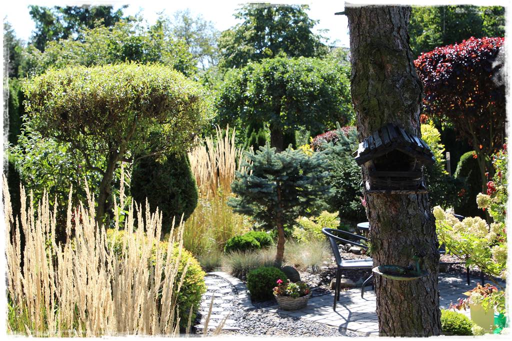 Karmnik w ogrodzie 10 Karmnik w ogrodzie 10