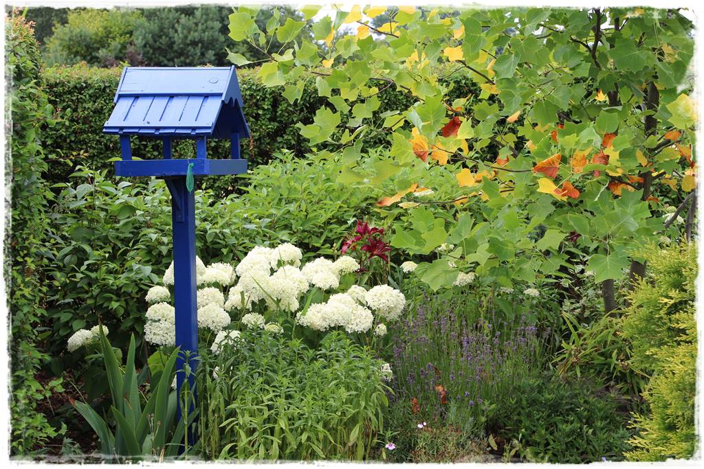 Karmnik w ogrodzie 100b