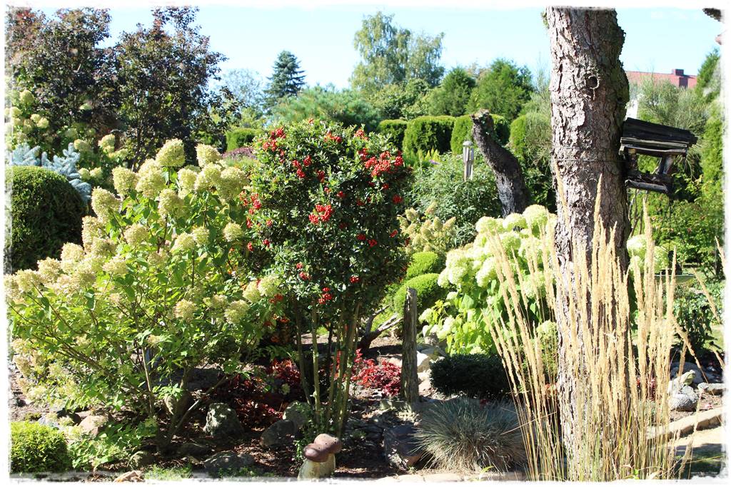 Karmnik w ogrodzie 10b Karmnik w ogrodzie 10b